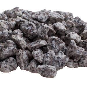 Grys Granitowy (dalmatyńczyk)